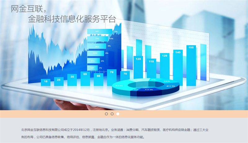 北京网站建设,网金互联